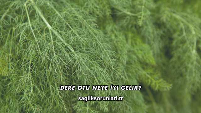 Dere Otu Neye İyi Gelir?