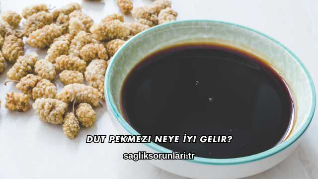 Dut Pekmezi Neye İyi Gelir?