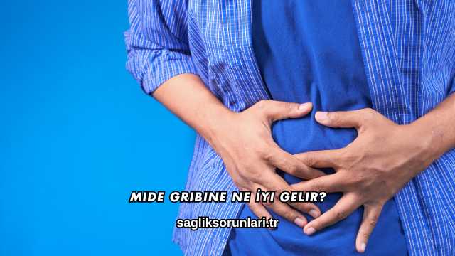 Mide Gribine Ne İyi Gelir?