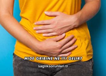 Mide Gribine Ne İyi Gelir?