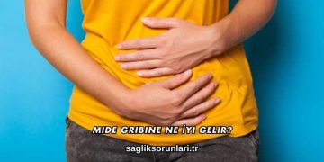 Mide Gribine Ne İyi Gelir?