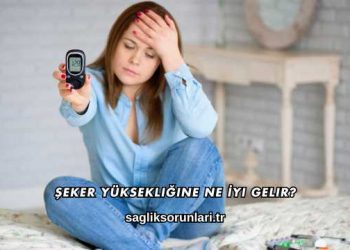 Şeker Yüksekliğine Ne İyi Gelir?