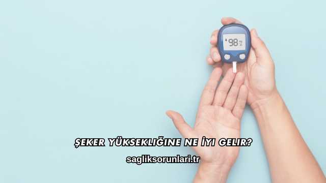 Şeker Yüksekliğine Ne İyi Gelir?