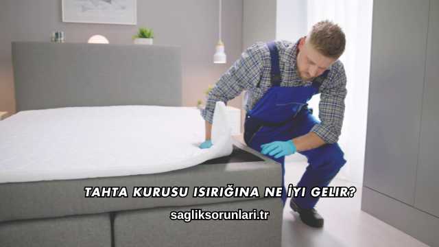 Tahta Kurusu Isırığına Ne İyi Gelir?