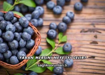 Yaban Mersini Neye İyi Gelir?