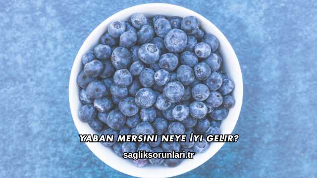 Yaban Mersini Neye İyi Gelir?