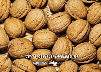 Ceviz Çeşitleri Nelerdir?