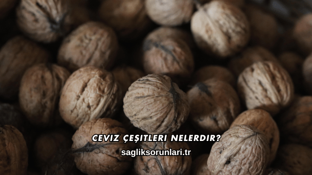 Ceviz Çeşitleri Nelerdir?