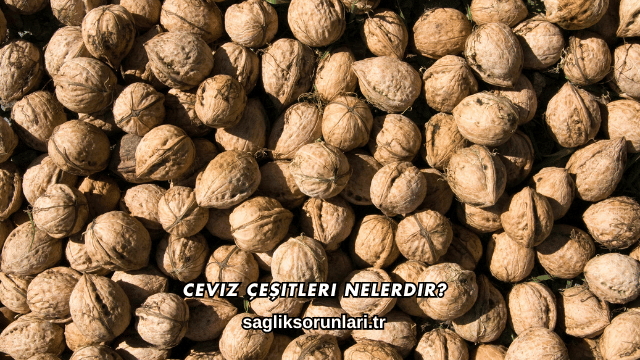 Ceviz Çeşitleri Nelerdir?