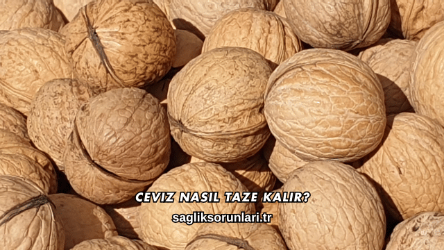 Ceviz Nasıl Taze Kalır?