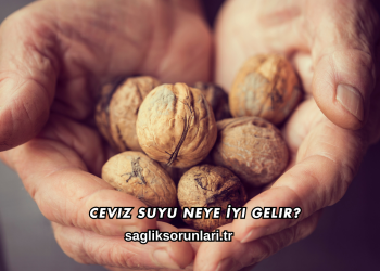 Ceviz Suyu Neye İyi Gelir?
