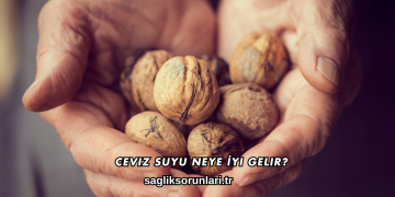 Ceviz Suyu Neye İyi Gelir?