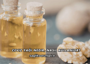 Ceviz Yağı Nedir, Nasıl Kullanılır?