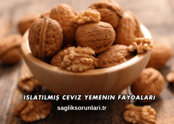 Islatılmış Ceviz Yemenin Faydaları