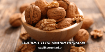 Islatılmış Ceviz Yemenin Faydaları