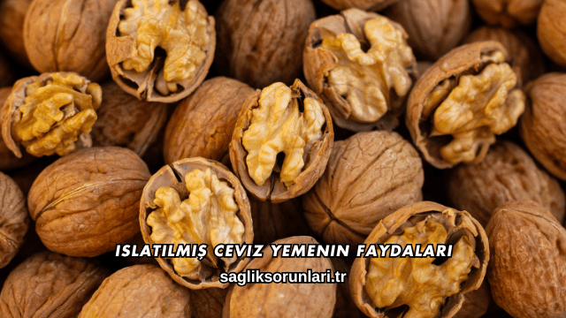 Islatılmış Ceviz Yemenin Faydaları