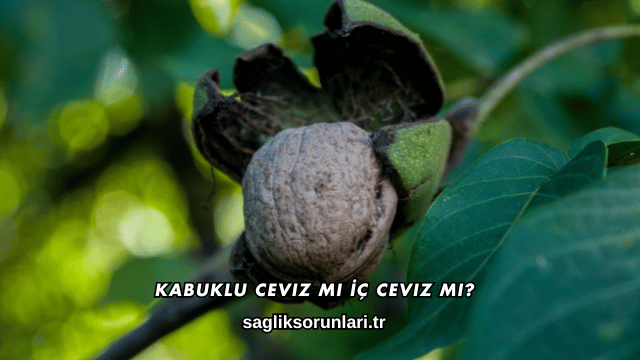 Kabuklu Ceviz mi İç Ceviz mi?