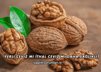 Yerli Ceviz mi İthal Ceviz mi Daha Sağlıklı?